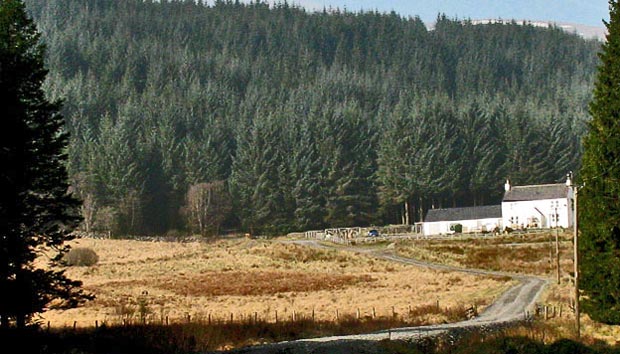 Break in the trees at Fore Bush house