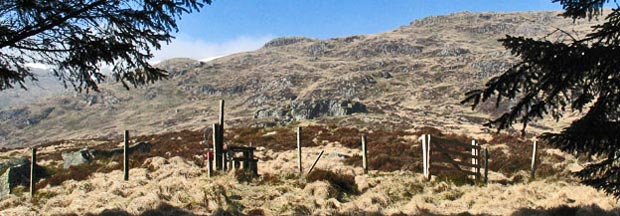 Picture of the stile at edge of the woods now with North Gairy ahead of us