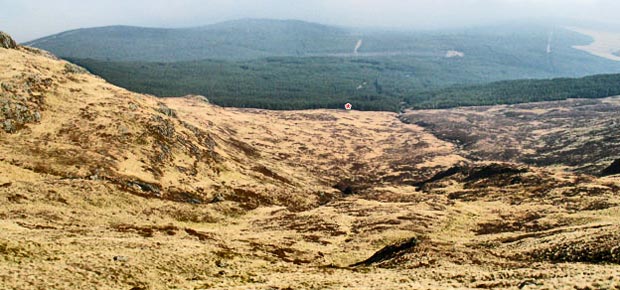 View back from the cascades towards where we emerged from the forest