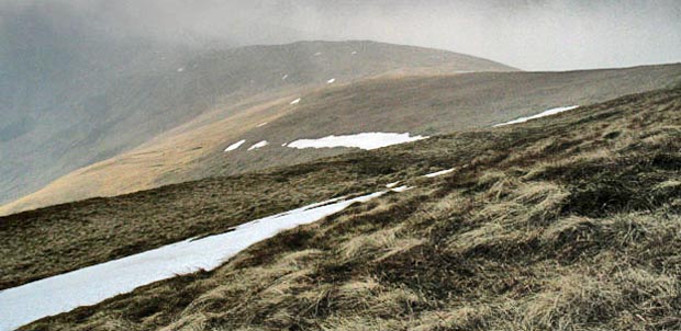 View towards the top of Corserine from North Gairy