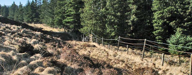 Location of stile which gives access through the woods