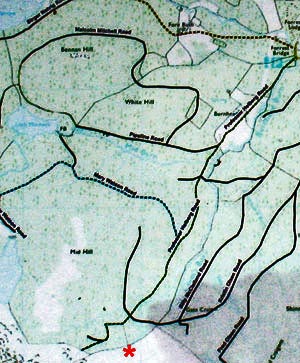 Estate map of the area showing forest tracks