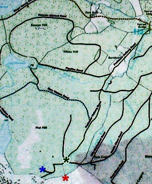 Forrest Estate Map