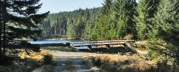 Bridge at Loch Minnoch