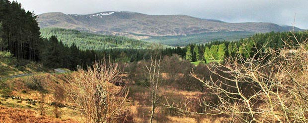 View towards Polmaddy Gairy from the road in to the parking place in the Forrest Estate