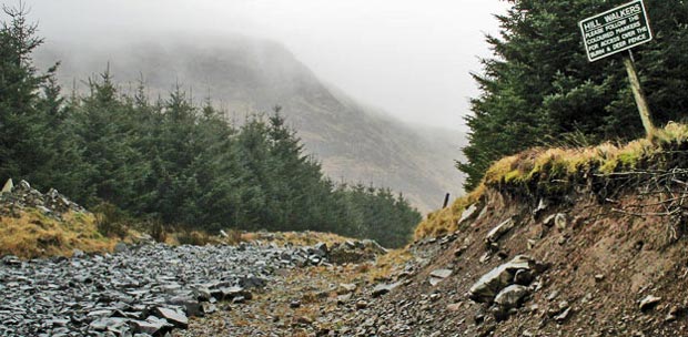 Millfire from the forest track