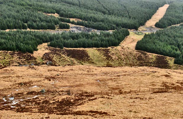 View back down to the Hawse Burn and the memorial to Ralph Forlow from Millfire