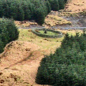 View back down to the Hawse Burn and the memorial to Ralph Forlow from Millfire - detail