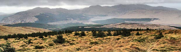 View of Minnigaff hills fromn Milldown - misty conditions