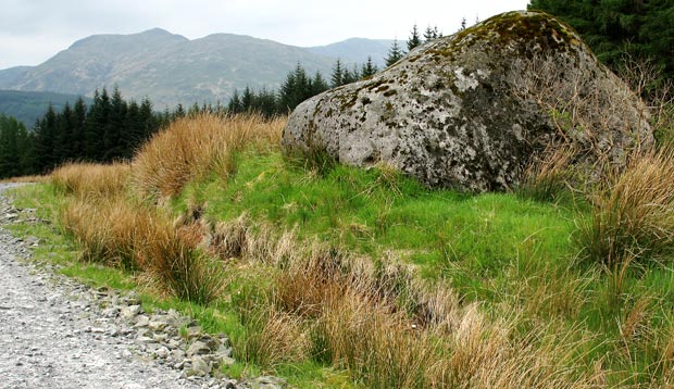 View looking back SW from McWhann's Stone towards Curleywee