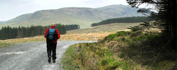 View of Craignaw and Snibe from the forest track