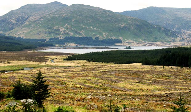 View towards Curleywee and Loch Dee from the forest track