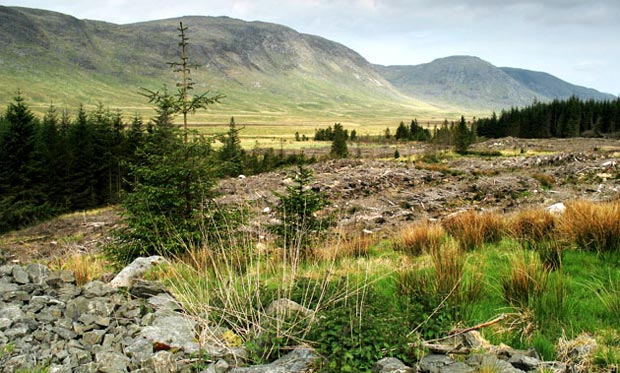 View of Craignaw, the Nick of the Dungeon and Dungeon Hill from the forest track