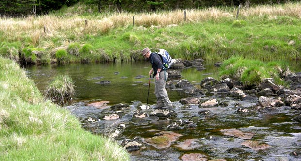 Crossing the Cooran Lane