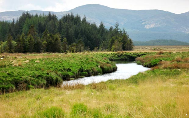 Looking back over the Cooran Lane towards Meikle Millyea