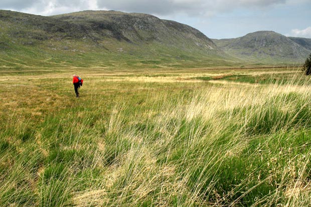 Craignaw and Dungeon Hill from the Silver Flowe