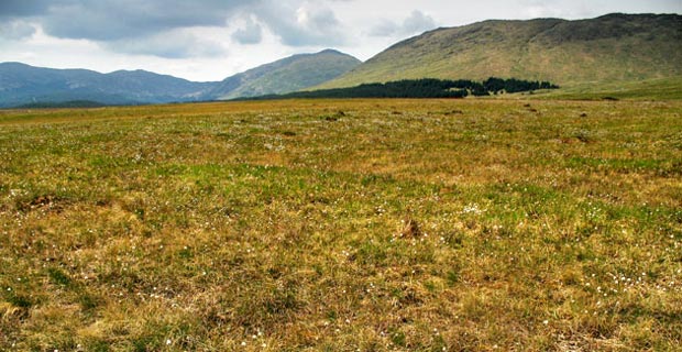 View to the south west across the Silver Flowe