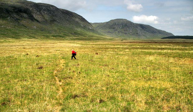 View of tracks across the Silver Flowe