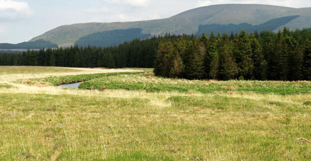 Looking north east across the Cooran Lane to Corserine