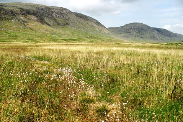 View of the route ahead across the Silver Flowe and on over Dungeon Hioll