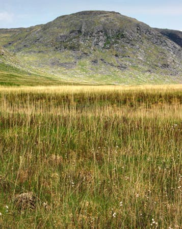 View of rock faces on Dungeon Hill from the Silver Flowe