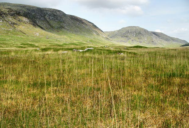 View of the ridge which tails off northward from Dungeon Hill - our route for later