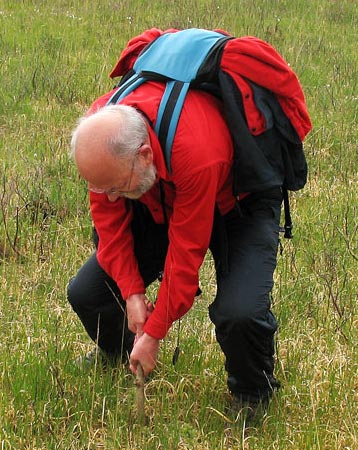 Sandy testing the depth of the water under the vegetation