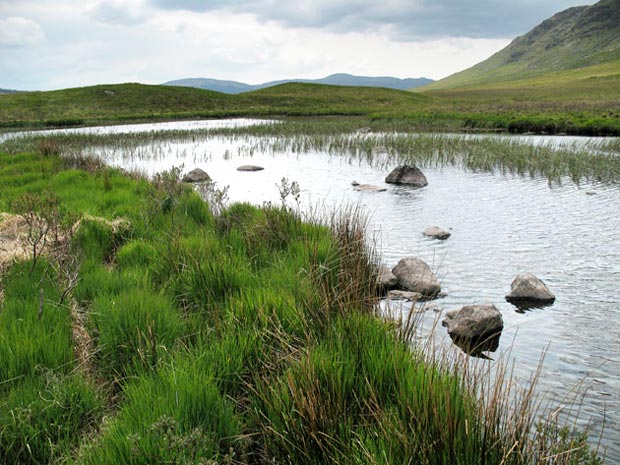 View looking south down the Long Loch of the Dungeon towards the Minningaff Hills