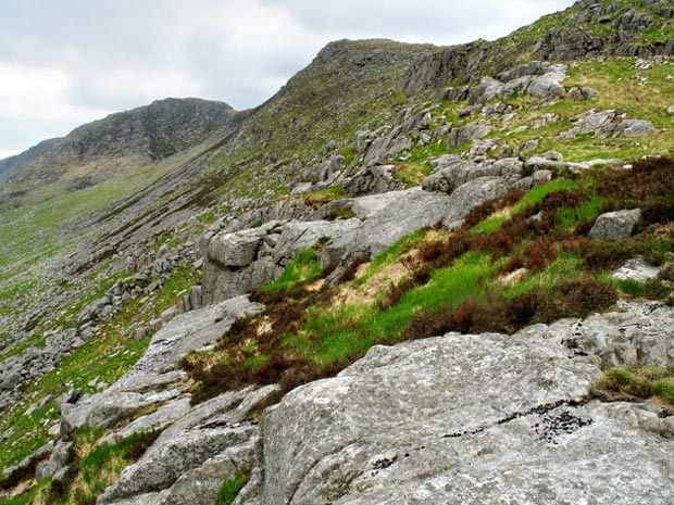 View looking north along the east face of Dungeon Hill ridg