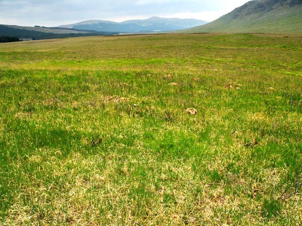 View down the length of the Silver Flowe towards the Minnigaff hills