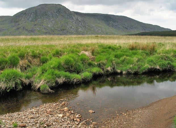 View across the Silver Flowe towards Craignaw from the Sauch Burn