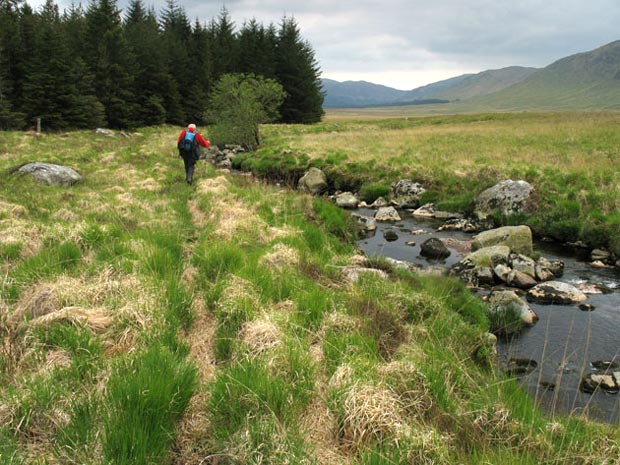 Following the bank of the Sauch Burn looking for a gap in the forest