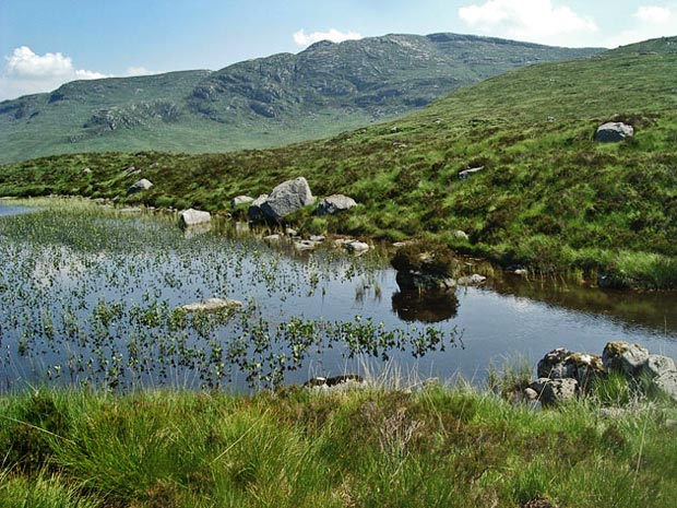 View of Craignaw from Loch Neldricken