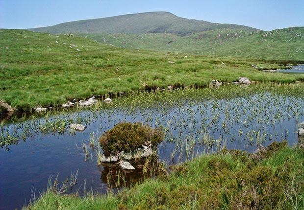 View of the Merrick from Loch Neldricken
