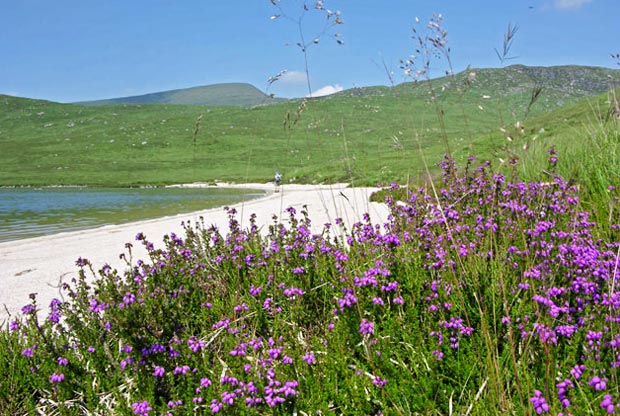 View taken heading along Loch Neldricken towards the Wolf Slock with the Merrick in the distance