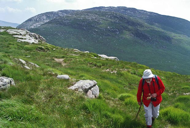 View of Craignaw from near the Wolf Slock