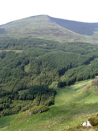 View of Benyellary from the Buchan Ridge with the valley of the Buchan Burn below