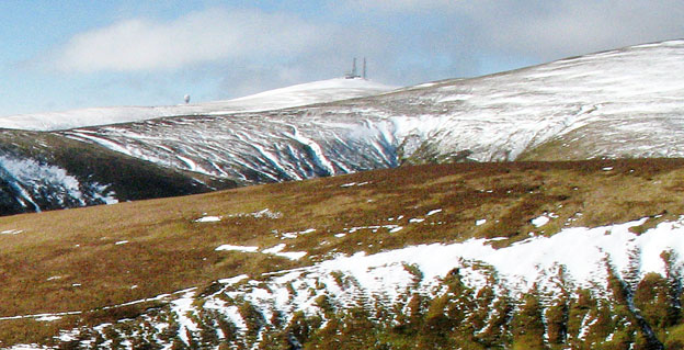 View of Green Lowther while heading from Coupland Gair onto Lousie Wood Law