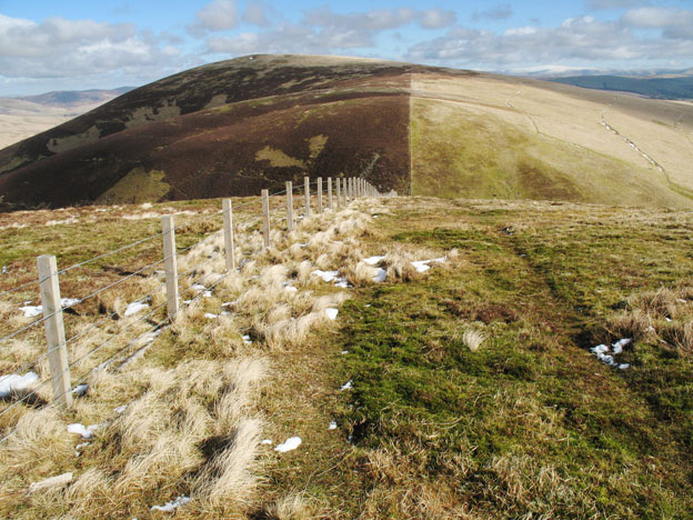 View from White Law back towards Lousie Wood Law