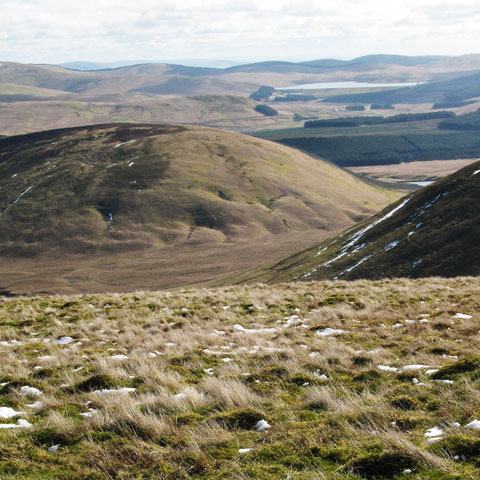Looking down to Doddin and the valley of the Peden Burn from White Law