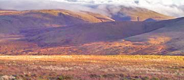 View of Ballencleuch Law from saddle between Glenleih and Wedder Law