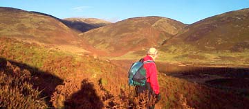 View towards Wedder Law from Tansley Rig