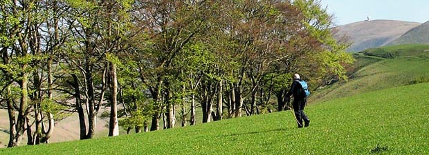 View towards Lowther Hill from beside the old bridle path to Enterkin Pass