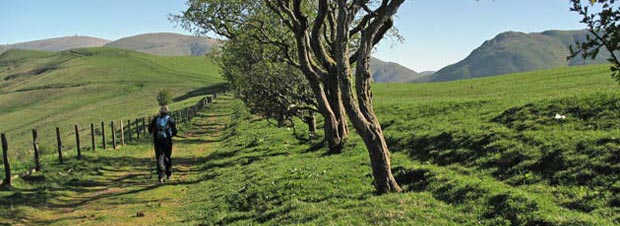 View along the old bridle path towards Lowther Hill, Steygail and Pettylung