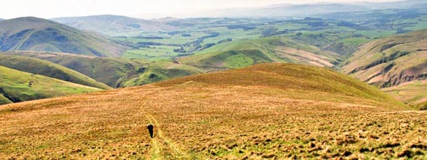View from Thirstane along the low ridge we have come up from the parked car