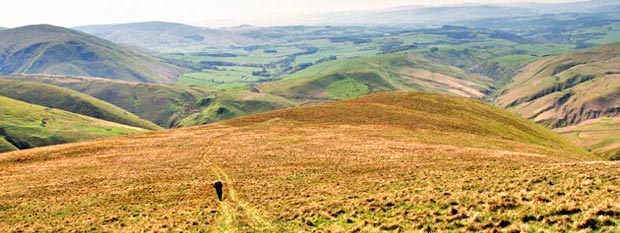 View from Thirstane along the low ridge we have come up from the parked car