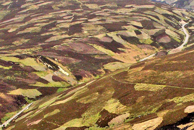 Detail of the road up the Mennock Pass and of heather burning patches