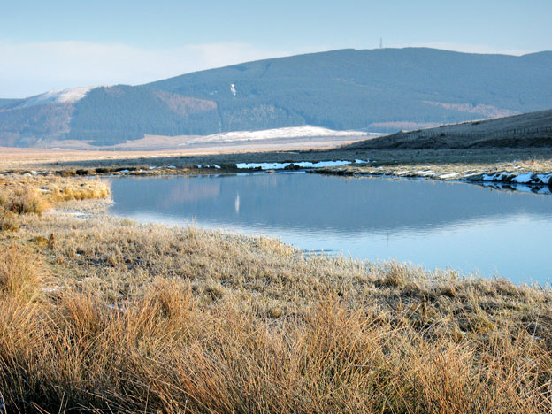 Looking towards the M74 from the source of the River Clyde