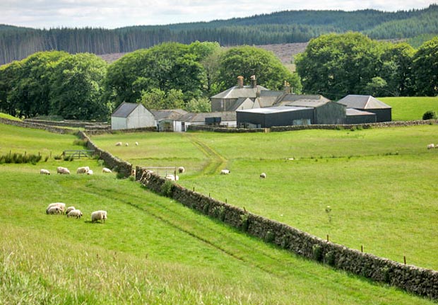 View back towards Mitchellslacks at the start of the route