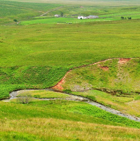 Where to cross Capel Water if you want to go onto Gana Hill before Queensberry